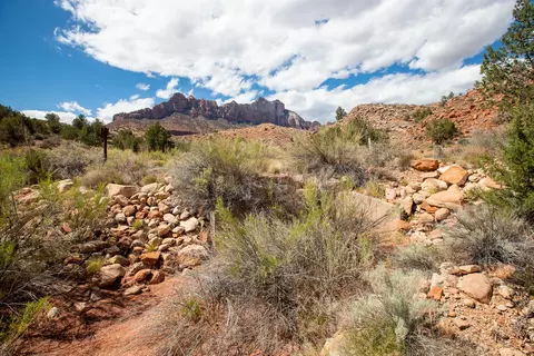 11 N Fork Dr, Springdale, UT 84767 photo 22