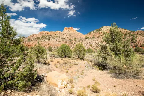 11 N Fork Dr, Springdale, UT 84767 photo 7