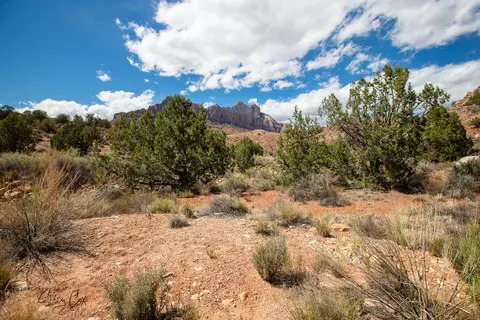 11 N Fork Dr, Springdale, UT 84767 photo 14