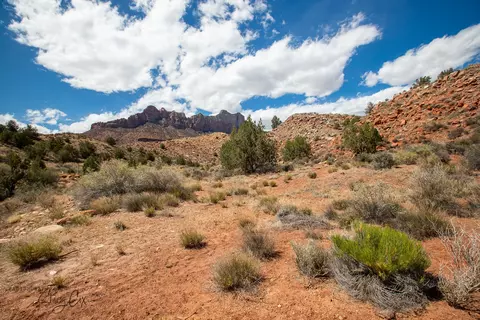 11 N Fork Dr, Springdale, UT 84767 photo 20
