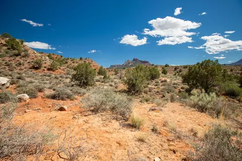 11 N Fork Dr, Springdale, UT 84767 photo 18