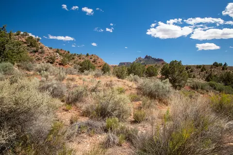 11 N Fork Dr, Springdale, UT 84767 photo 13