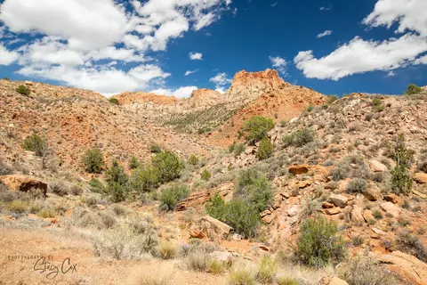 11 N Fork Dr, Springdale, UT 84767 photo 33