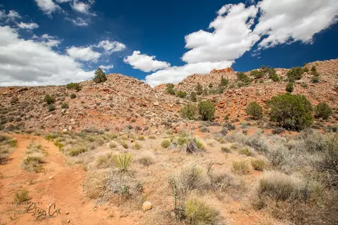 11 N Fork Dr, Springdale, UT 84767 photo 28