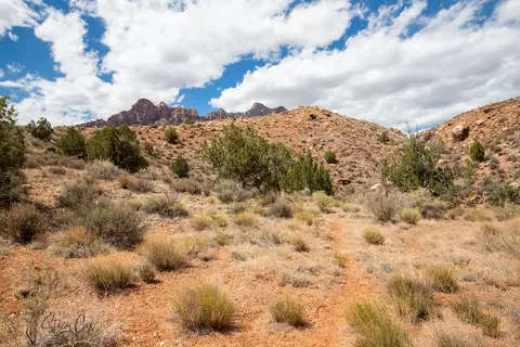 11 N Fork Dr, Springdale, UT 84767 photo 26