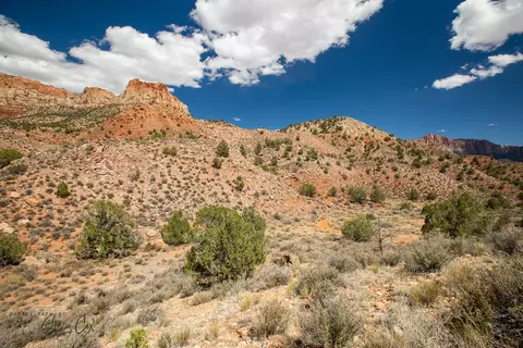 11 N Fork Dr, Springdale, UT 84767 photo 29