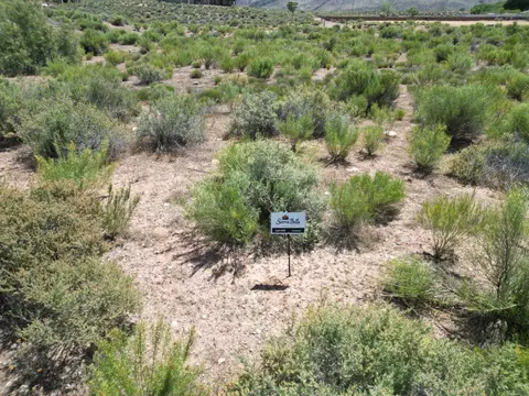 Sierra Bella, Virgin, UT 84779 photo 3
