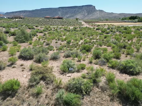 Sierra Bella, Virgin, UT 84779 photo 4