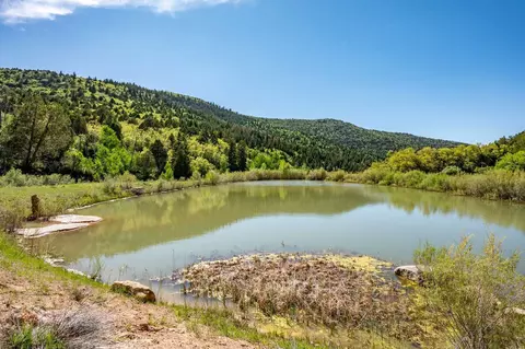Braffits Creek, Summit, UT 84772 photo 13