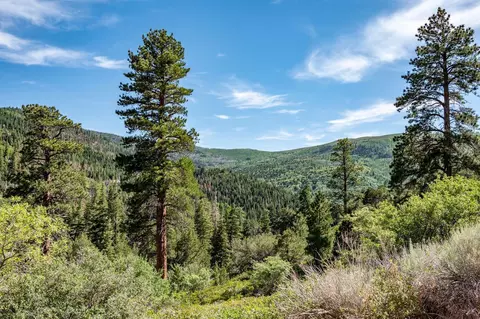 Braffits Creek, Summit, UT 84772 photo 12