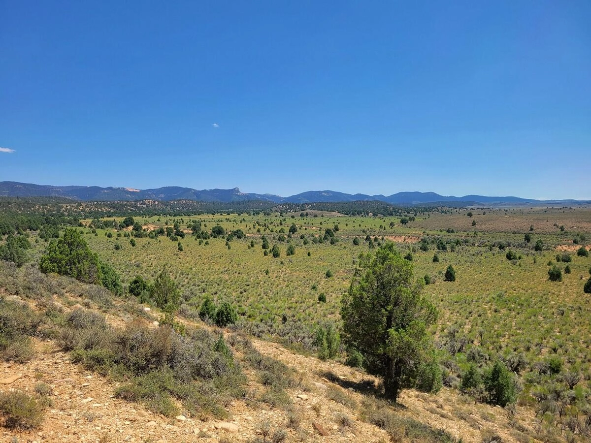 80 Acres - Sec 18 T7s R5w  