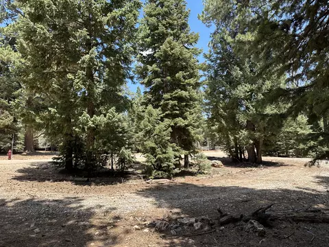 530 E Forest Dr, Duck Creek, UT 84762