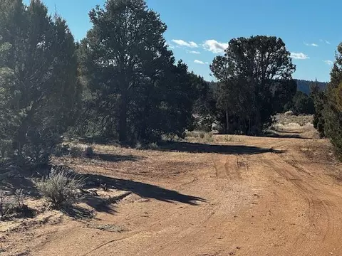 Briar Patch Lane, Kanab, UT 84741 photo 24