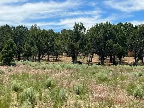 Briar Patch Lane, Kanab, UT 84741 photo 2