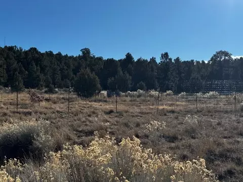 Briar Patch Lane, Kanab, UT 84741 photo 8