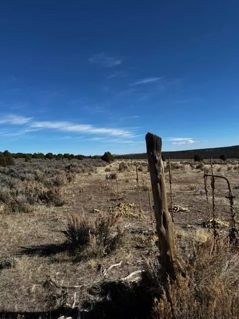 Briar Patch Lane, Kanab, UT 84741 photo 34