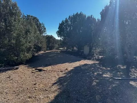 Briar Patch Lane, Kanab, UT 84741 photo 21