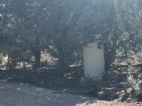 Briar Patch Lane, Kanab, UT 84741 photo 22