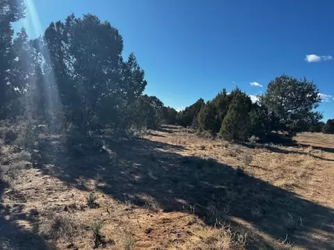 Briar Patch Lane, Kanab, UT 84741 photo 18