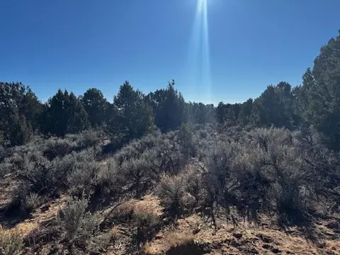 Briar Patch Lane, Kanab, UT 84741 photo 16