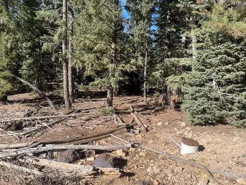 2245 Big Timber Dr, Duck Creek, UT 84762