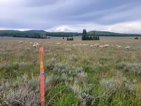 2373 E Meadow Lk, Brian Head, UT 84719 photo 5