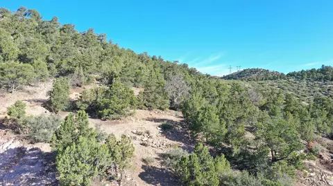 Butch Cassidy Circle, Central, UT 84722 photo 13