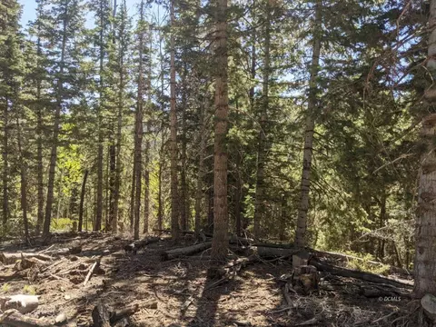 26 Bonnie Grn, Duck Creek, UT 84762