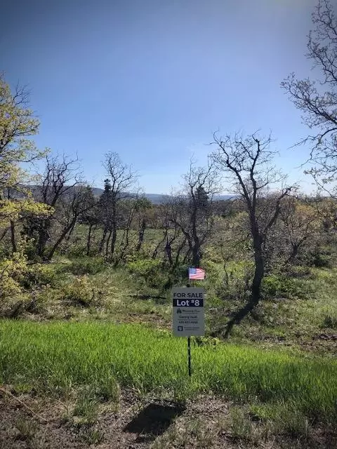 lot8 Spring Dr, Virgin, UT 84779