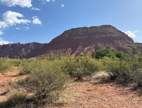 469 N Bur Sage Trl, Ivins, UT 84738