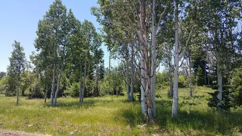271 N Whispering Pines Rd, Virgin, UT 84779