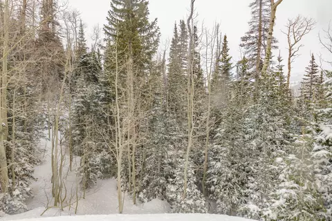 W Hunter Ridge Dr, Brian Head, UT 84719 photo 17