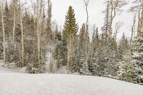 W Hunter Ridge Dr, Brian Head, UT 84719 photo 16