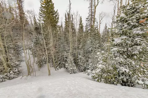 W Hunter Ridge Dr, Brian Head, UT 84719 photo 2