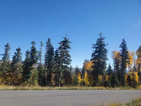 Kolob Ter Rd, Kolob, UT 84779