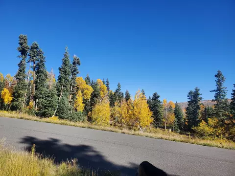 Kolob Terrace Rd, Kolob, UT 84779
