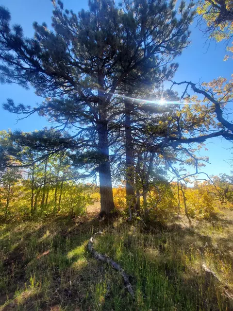 lot9 Rd, Kolob, UT 84779