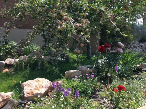 Exterior - 486 E Hillview Dr, Cedar City, UT 84721 photo 11 of 22
