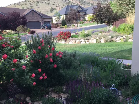 Exterior - 486 E Hillview Dr, Cedar City, UT 84721 photo 12 of 22