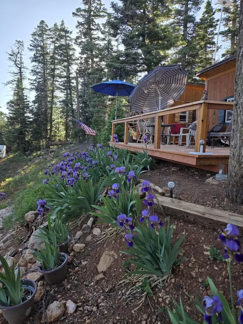 5680 W Berry Lp Lp, Duck Creek Village, UT 84762