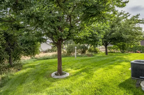 Exterior - 1703 Old Mill Rd, Enoch, UT 84721 photo 8 of 13
