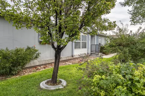 Exterior - 1703 Old Mill Rd, Enoch, UT 84721 photo 6 of 13