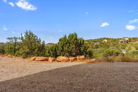 Exterior - 442 E Pine View Dr, Central, UT 84722 photo 8 of 9