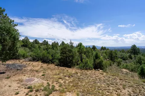 Exterior - 2450 E Oak Tree Dr, Virgin, UT 84779 photo 22 of 30