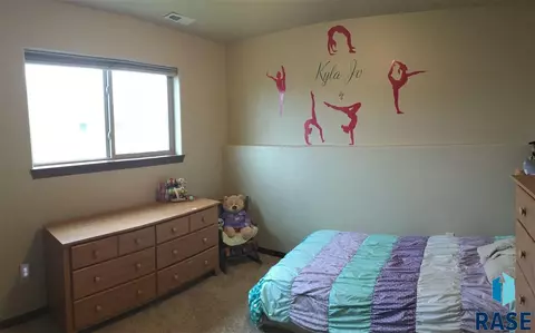 935 N Cole Ave, Tea, SD 57064 photo 21
