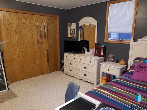 411 E Lightner Ave, Salem, SD 57058 photo 19
