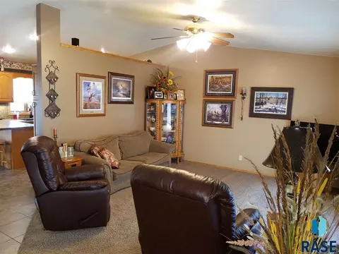 411 E Lightner Ave, Salem, SD 57058 photo 8