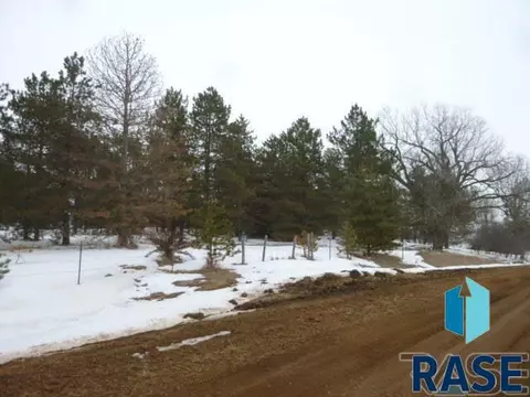 290 Th St, Viborg, SD 57070 photo 4