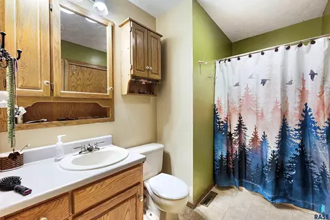 320 Lisa Cir, Tea, SD 57064 photo 21