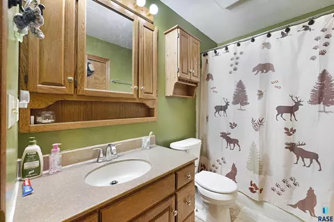 320 Lisa Cir, Tea, SD 57064 photo 18